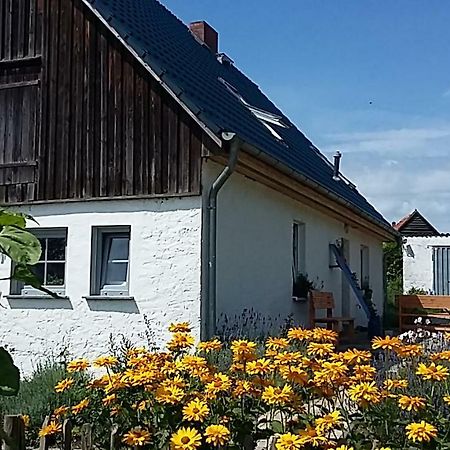 Zum Storchennest Hotell Kemnitz  Eksteriør bilde