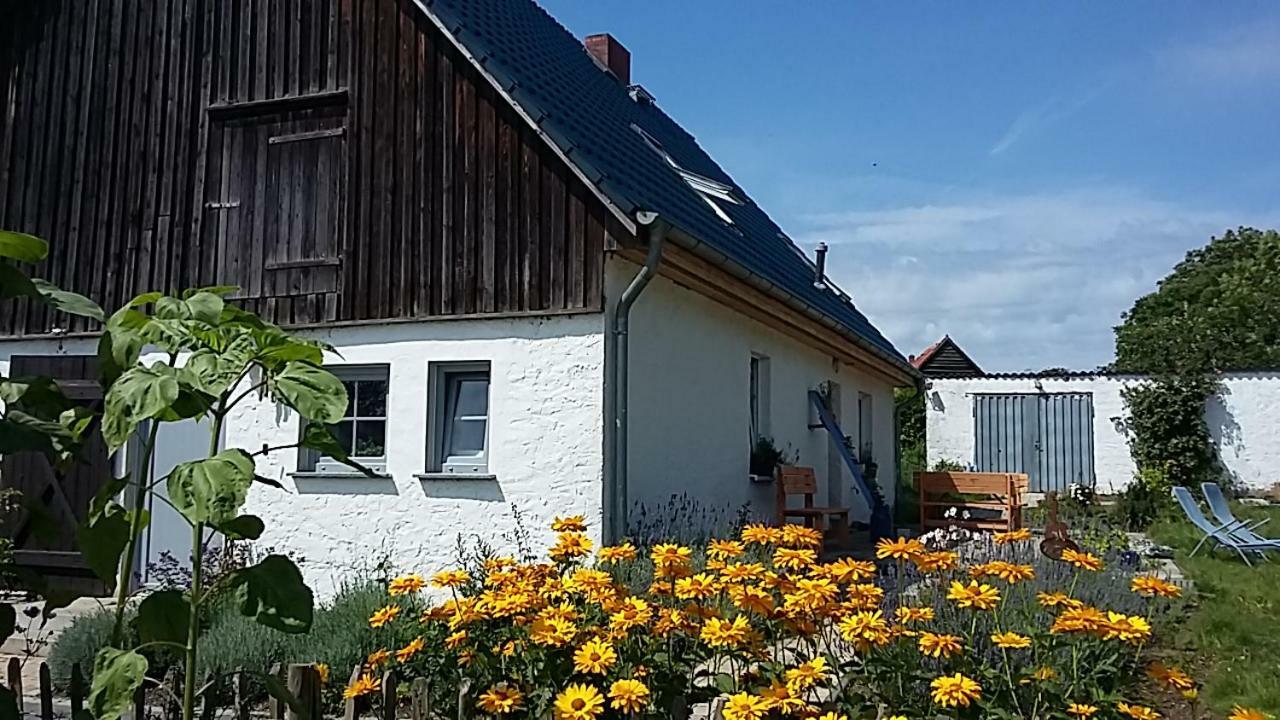 Zum Storchennest Hotell Kemnitz  Eksteriør bilde